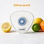 Coastwide Professional Non-Para Urinal Screen with Block, Citrus Scent, 12/Box (CW61757)~#|#~3AF9CB57-DA1A-4870-8D5E923D8FF91EE3_sc7