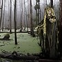 Haunted Hill Farm Life-Size Animatronic Tree Man (HHTREE-3FLSA)~#|#~3AFA6BEB-E03A-4812-8A17F2B201BD1237_sc7
