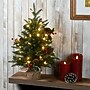 National Tree Company 2 ' Happy Hill Pine Tree with LED Lights (PEHP64-306L-20)~#|#~3AFE364D-B34A-4030-9321F8E83CAFED27_sc7