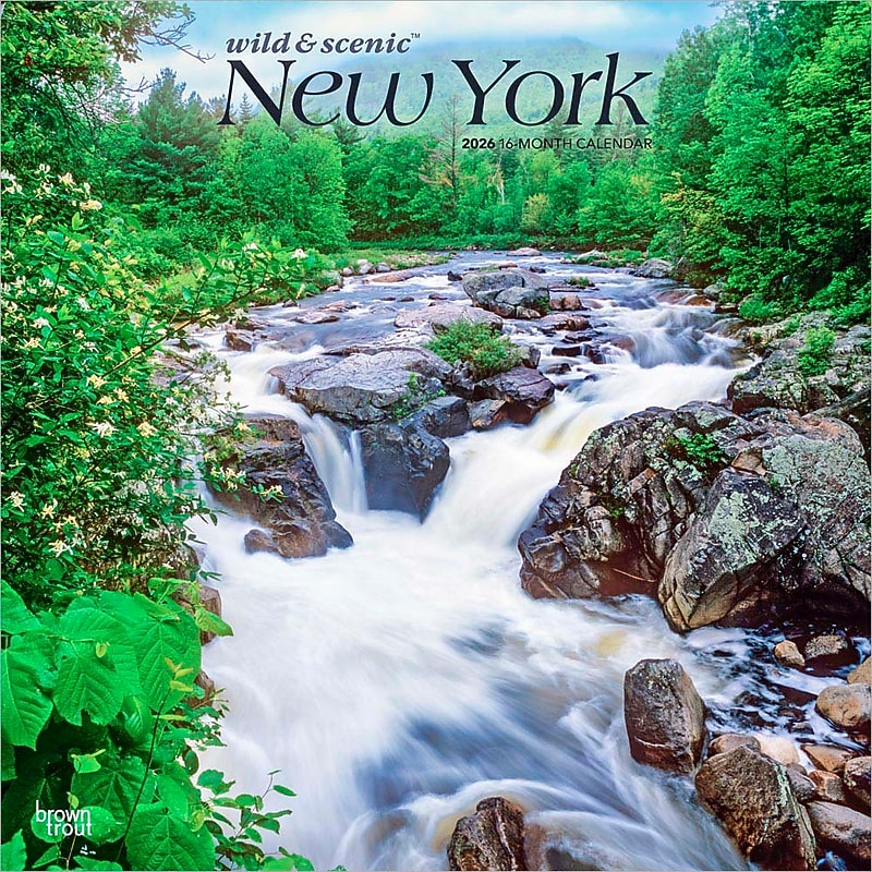 2026 BrownTrout New York Wild & Scenic 12" x 12" Monthly Wall Calendar (9798330704897) image 1