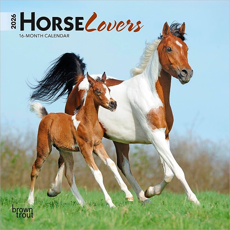 2026 BrownTrout Horse Lovers 7" x 7" Monthly Wall Calendar (9798330703708) image 1