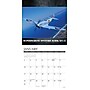 2027 Willow Creek WWII Military Aircraft 7" x 7" Monthly Wall Calendar, Assorted Colors (64306)~#|#~3B10C645-63BF-424A-99FF7BC283C23CB0_sc7
