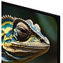 Samsung Q60D 50" Smart QLED 4K UHD AI Enabled TV (QN50Q60DAFXZA)~#|#~3B134ACF-7A04-4E23-BA0393E3302FC096_sc7