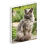 2026 Willow Creek What Cats Teach Us 6.5" x 8.5" Daily & Monthly Personal Organizer (54666)~#|#~3B15A2A4-2E33-47D1-A6FB777005D15138_sc7
