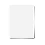 Royal Brites Foam Board, 11" x 14", White, 4/Pack (20305)~#|#~3B1D4036-3949-4D51-B00F8B33120573D6_sc7
