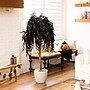Nearly Natural Artificial Halloween Black Willow Tree, 4' (T5196)~#|#~3B2AC12A-844A-4BEA-8C3FCB4886333216_sc7