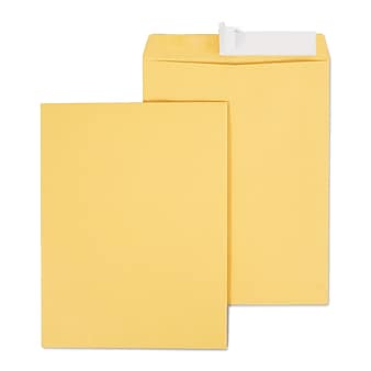 Staples EasyClose Catalog Envelopes, 10"L x 13"H, Brown, 100/Box (381969/19023)