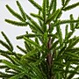Nearly Natural Artificial Real Touch Norfolk Island Pine in White Decorative Planter, 22" (T5383)~#|#~3B44A146-DE1D-41CE-A48A91E7AC607890_sc7