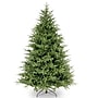 National Tree Company Frasier Grande Artificial Christmas Tree (PEFG3-500-75)~#|#~3B768152-89D0-46DA-B6E8655DC1253104_sc7