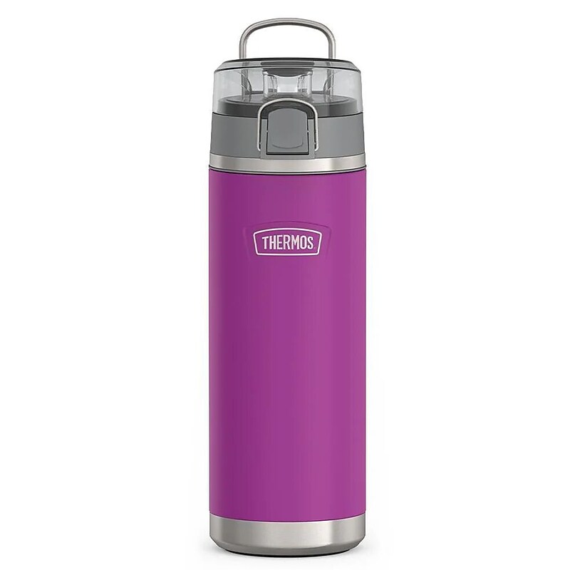 Thermos Icon Stainless Steel Vacuum Insulated Water Bottle, 24 oz., Plum (EAIS2204PL4) image 1