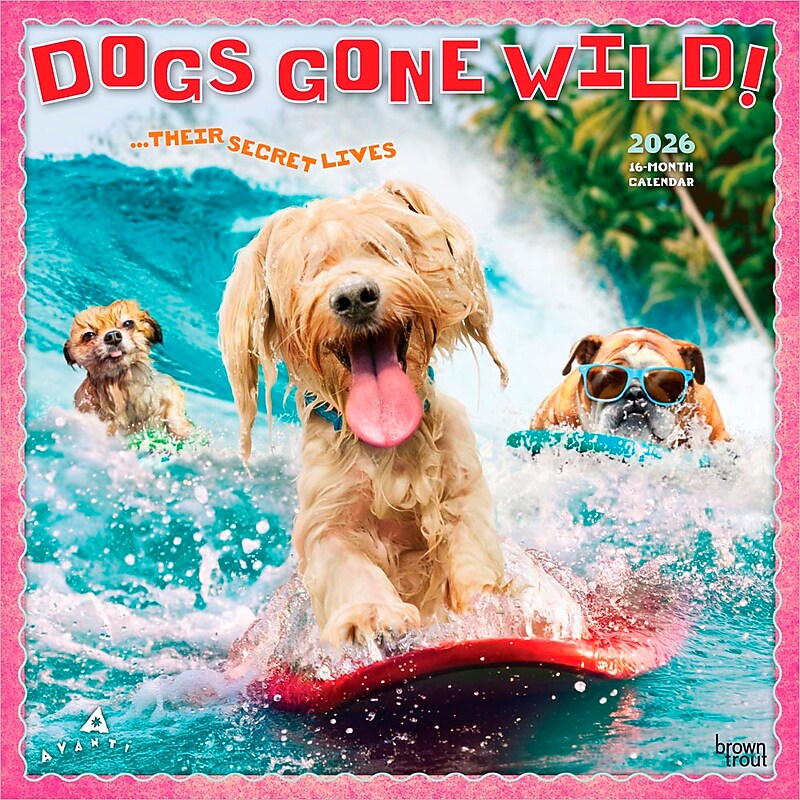 2026 BrownTrout  Dogs Gone Wild 12" x 12"  Monthly, Paper Cover,  Dogs Gone Wild (9798330701445) image 1