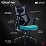 Beautyrest Duo-EX Ergonomic Mesh Swivel Computer Chair, Teal (60051-TEL)~#|#~3B890C6D-839B-46B0-B797B2562B1B57CF_sc7