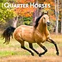 2026 BrownTrout Quarter Horses 12" x 12" Monthly Wall Calendar (9798330705290)~#|#~3B8F4CE2-F3C6-4A4D-B04760C2154CFB3D_sc7
