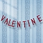 National Tree Company 6ft. "VALENTINE" Streamer (RAV-XG5894-1)~#|#~3BB2D95C-D648-4DBC-91F2109B720AED4F_sc7