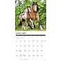 2026 Willow Creek Paint Horses 12" x 12" Monthly Wall Calendar (52297)~#|#~3BB71962-9FCE-4BD9-9B3798B6990A1C35_sc7
