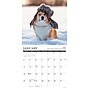 2026 Willow Creek Corgi Rules 12" x 12" Monthly Wall Calendar (50828)~#|#~3BBABD13-A2F3-4827-8E9555F7BB9F7EDB_sc7
