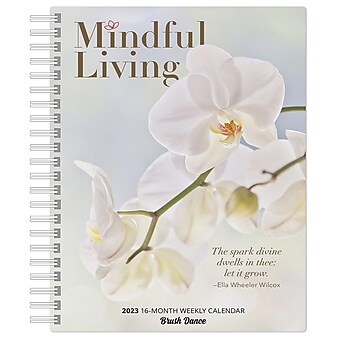 2023 Brush Dance Mindful Living 6.9" x 9.8" Weekly Karma Planner, Multicolor (9781975454685)