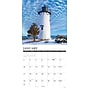 2027 Willow Creek Lighthouses 12" x 12" Monthly Wall Calendar, Assorted Colors (61039)~#|#~3BDFC212-D798-4E25-9A5FD107F1112BDB_sc7