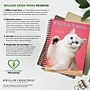 2027 Willow Creek What Cats Teach Us 6.5" x 8.5" Weekly & Monthly Desk Calendar (64443)~#|#~3BE4E8A1-6109-49F8-9D2CE34037601FB5_sc7