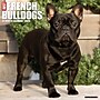 2026 Willow Creek French Bulldogs 12" x 12" Monthly Wall Calendar (51177)~#|#~3BE68174-F598-4AAA-BD7B54524CD4CF91_sc7