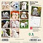 2027 BrownTrout Bichon Frise Puppies 7" x 7" Monthly Wall Calendar, Assorted Colors (9798330709892)~#|#~3BEF7F6A-E4C3-47EC-A689F27821189912_sc7