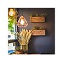 Viribright 5-Watts Warm White LED Decorative Bulb, 6/Box (641350-6)~#|#~3BF5092F-3EC7-45F4-8B217B72D9B9972F_sc7