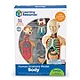 Learning Resources Human Body Anatomy Model (LER3336)~#|#~3C035C6C-4BA4-4603-81D5F0C80A47C487_sc7