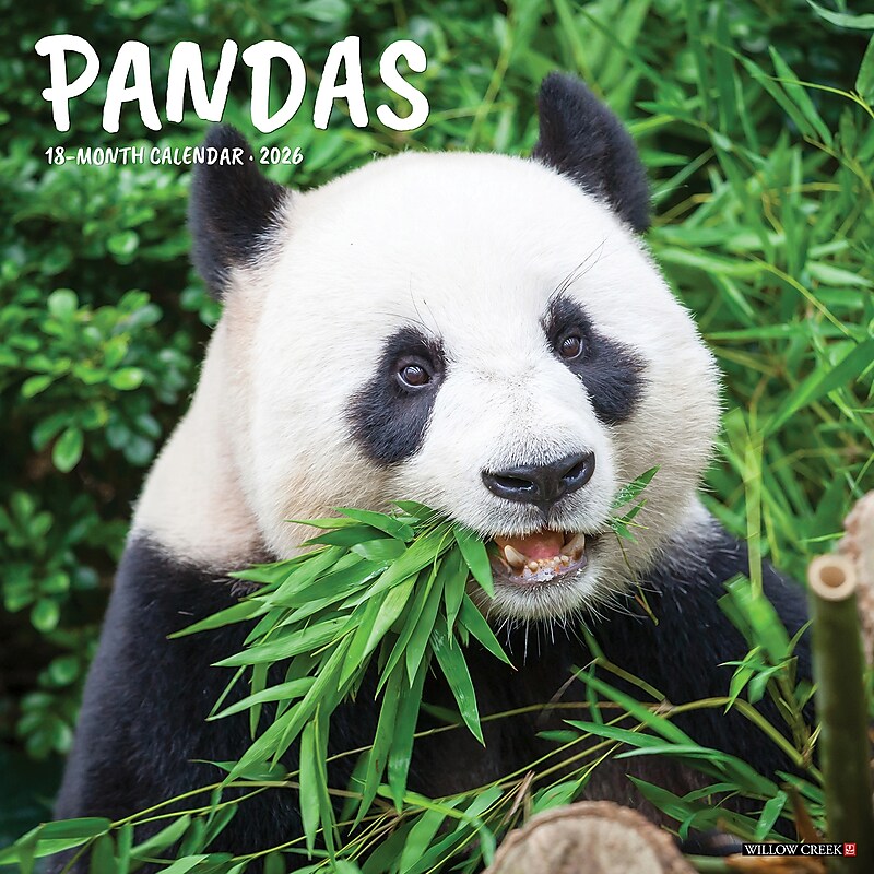 2026 Willow Creek Pandas 12" x 12" Monthly Wall Calendar (56042) image 1