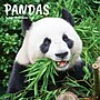 2026 Willow Creek Pandas 12" x 12" Monthly Wall Calendar (56042)~#|#~3C13E70B-68D9-4C9F-A3C7F18B7ED5F23A_sc7