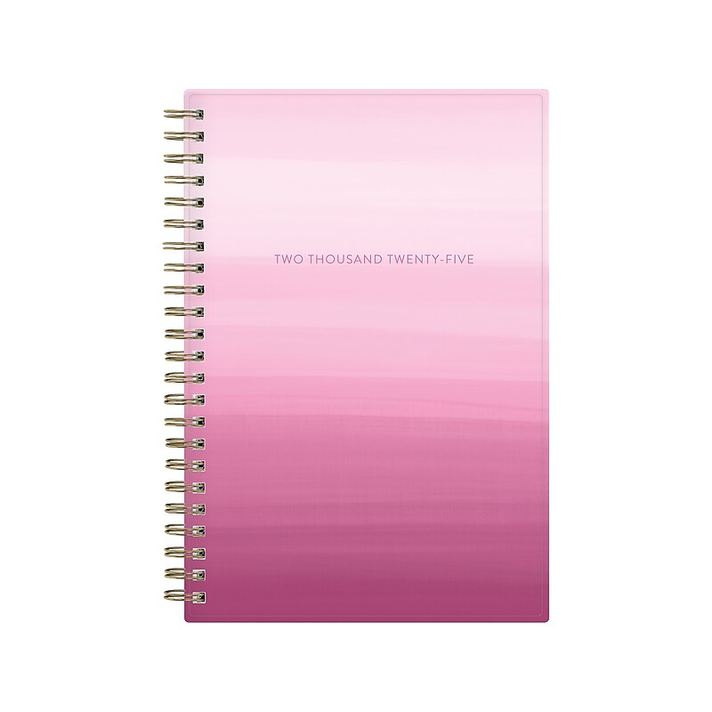 2025 Blue Sky Juno Pink 5" x 8" Weekly & Monthly Planner, Plastic Cover, Multicolor (152265) image 1