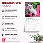 2027 BrownTrout Chihuahua Puppies 7" x 7" Monthly Wall Calendar, Assorted Colors (9798330709960)~#|#~3C1BCA34-537B-4652-9B43EB645430F9F3_sc7