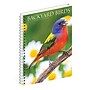 2027 Willow Creek Backyard Birds 6.5" x 8.5" Weekly & Monthly Desk Calendar (64337)~#|#~3C22EC81-E97A-4895-8552F57C9979AC76_sc7