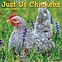 2027 Willow Creek Just Us Chickens 12" x 12" Monthly Wall Calendar (60896)~#|#~3C255FDD-AA75-4829-BE7E27B8ADCCB846_sc7