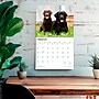 2026 BrownTrout For the Love of Labrador Retrievers 14" x 12" Monthly Wall Calendar (9798330707164)~#|#~3C27823D-FAFC-4313-A9E8F81EA8E2813C_sc7
