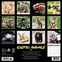 2026 Willow Creek Exotic Animals 12" x 12" Monthly Wall Calendar (55779X)~#|#~3C55721E-360A-4F44-BA50682ED55B6022_sc7