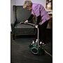Bissell Little Green Pro Commercial Spot Cleaner (BGSS1481)~#|#~3C645BEE-C844-4FAE-A938F123CA6CF55E_sc7