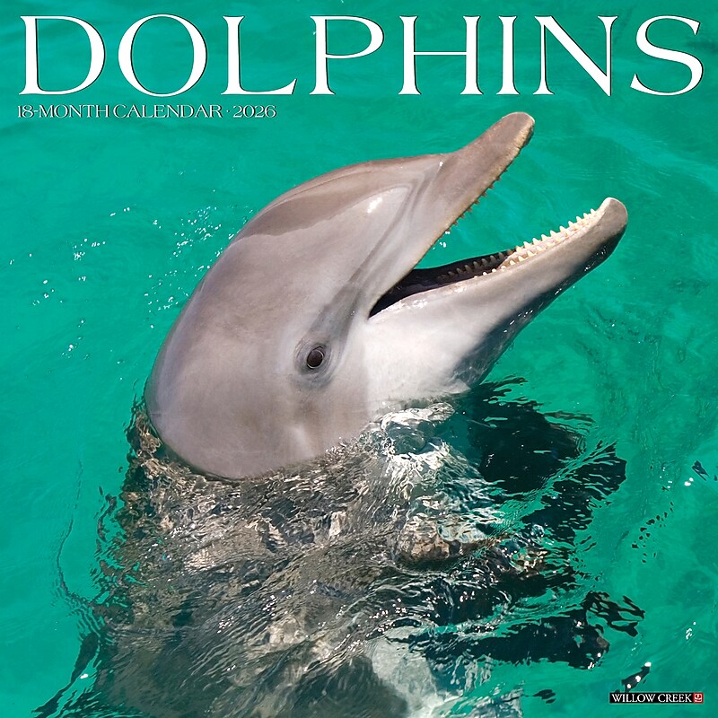 2026 Willow Creek Dolphins 12" x 12" Monthly Wall Calendar (55403) image 1