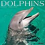 2026 Willow Creek Dolphins 12" x 12" Monthly Wall Calendar (55403)~#|#~3C72ECA4-7DEE-4E6D-A657C24F1BED6A3B_sc7