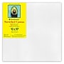 Strathmore 300 Series Primed Gallery Stretched Canvas, 10x10 inch, Pack of 3 (STT31410-3)~#|#~3C7E0624-B57C-4BE5-90430551E248979D_sc7