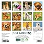 2027 Willow Creek Just Goldens 7" x 7" Monthly Wall Calendar, Assorted Colors (64047)~#|#~3CA9B59E-0034-4B8A-9C978795B2D1750D_sc7