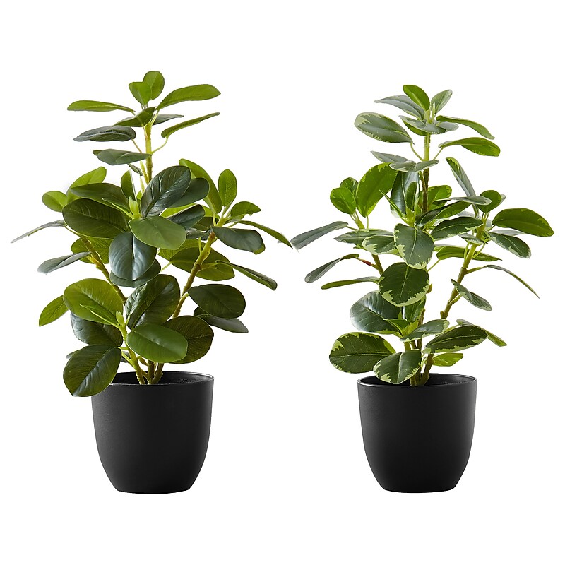 Monarch Specialties Inc. Ficus Elastica in Pot, 2/Pack (I 9585) image 1