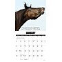 2026 Willow Creek Horsin’ Around 12" x 12" Monthly Wall Calendar (51511)~#|#~3CC11362-55D8-45F3-9AA6ABB80A1F7998_sc7