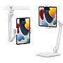 Twelve South HoverBar Duo 2nd Gen with Snap for iPad, White (12-2144)~#|#~3CCA40B7-338B-4C69-B1EBEB5D3F253A9F_sc7