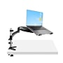 StarTech Adjustable Desk Mount Laptop Arm for 34" Monitor, Black/Silver (ARMUNONB1)~#|#~3CE54FE3-4130-4A5A-A60F472EED02947D_sc7