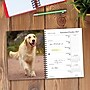 2027 Willow Creek What Goldens Teach Us 6.5" x 8.5" Weekly & Monthly Desk Calendar (64467)~#|#~3D04530B-FDF0-4057-9C8E261716D95F36_sc7