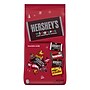 Hershey's Holiday Miniatures Assorted Chocolate Candy Bag, 39.6 oz. (HEC45401)~#|#~3D1D9CCF-F1B8-45E1-B996B5BBA14648EC_sc7