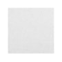 Armstrong ULTIMA Vector Edge Ceiling Tile, 24" x 24", White, Dozen (BP1920A)~#|#~3D363EFD-37F1-4A87-8DADB8B185F6A79A_sc7