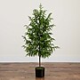 Nearly Natural Artificial Norfolk Pine Tree, 4' (T4708)~#|#~3D47D25D-613A-4CFB-AE9587A80D9A3373_sc7