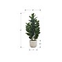 Monarch Specialties Inc. 31" Artificial Garcinia Tree in Pot (I 9507)~#|#~3D4C31F0-03D5-4F37-A5FAA54935FD2DB5_sc7