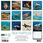 2026 Willow Creek Sea Turtles 12" x 12" Monthly Wall Calendar (55540)~#|#~3D545CAA-280B-4891-95E95B7E7FEDAD09_sc7